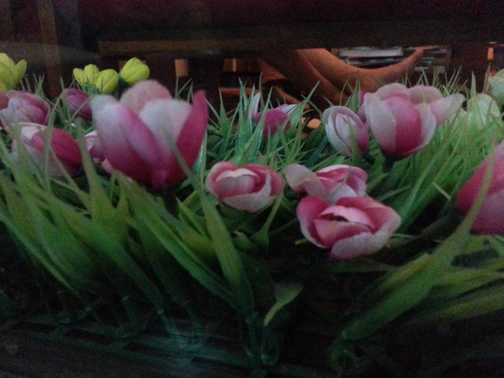 Pink Tulip Hotel Thành Pho Ho Chí Minh Esterno foto