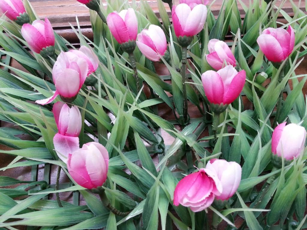Pink Tulip Hotel Thành Pho Ho Chí Minh Esterno foto